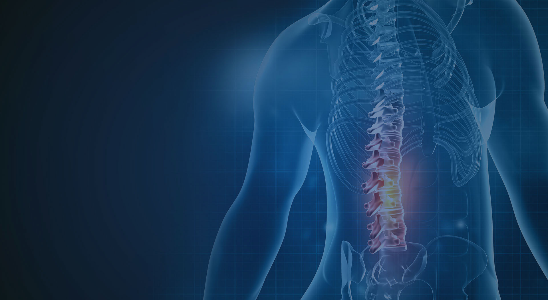 미국 정형외과 교과서 집필 정형외과 전문의 진료! 이미지