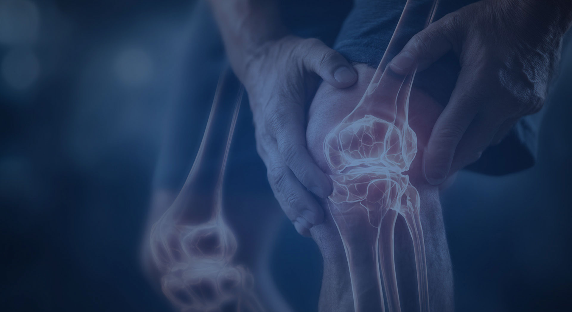 미국 정형외과 교과서 집필 정형외과 전문의 진료! 이미지