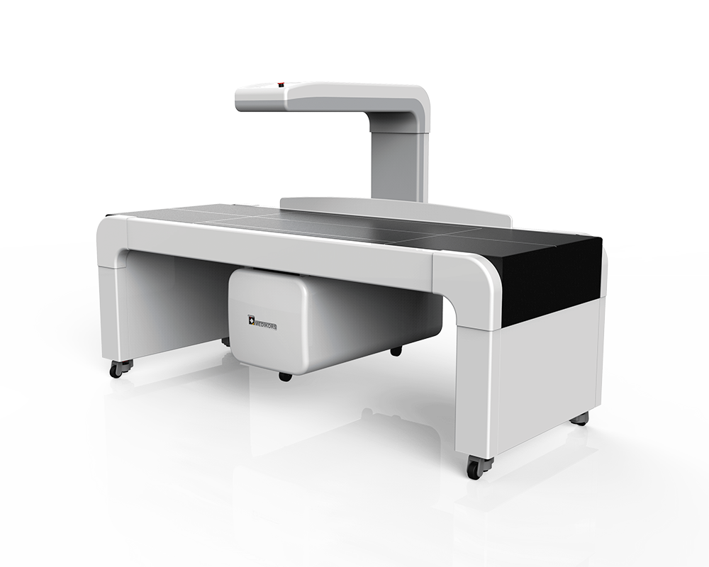 골밀도검사 (DEXA)